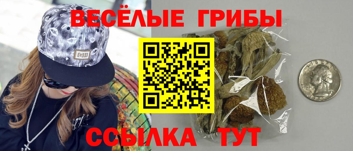 Псилоцибиновые грибы Magic Shrooms  Вход с VPN  Симферополь 